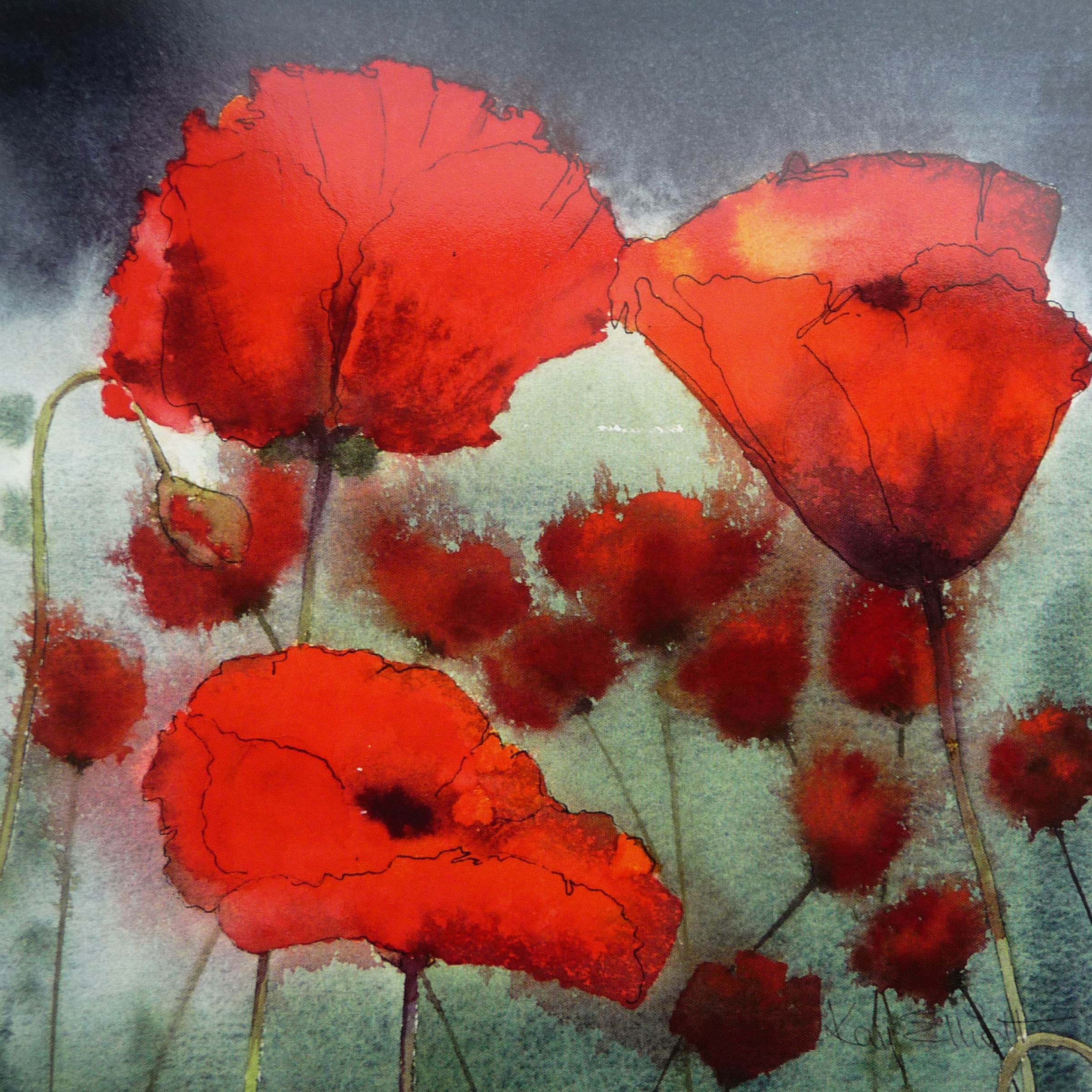 Stormy Poppies