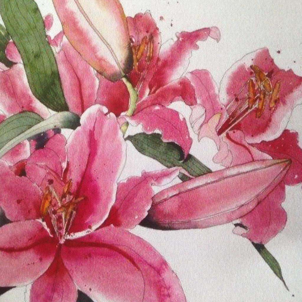 NEW* Lily Explosion