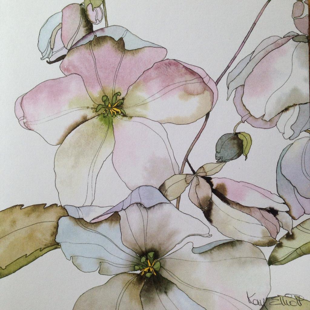 NEW* Pale Hellebores