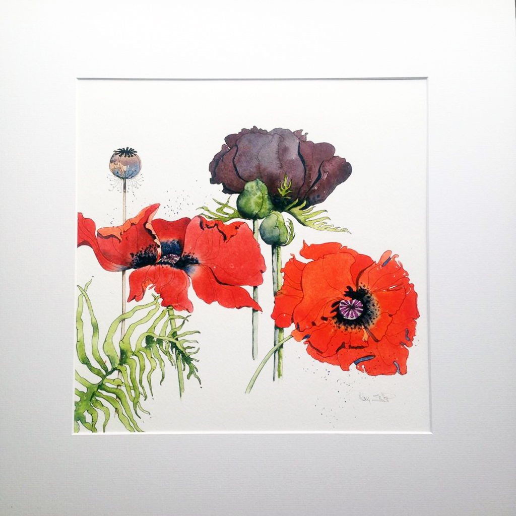 NEW* Poppies