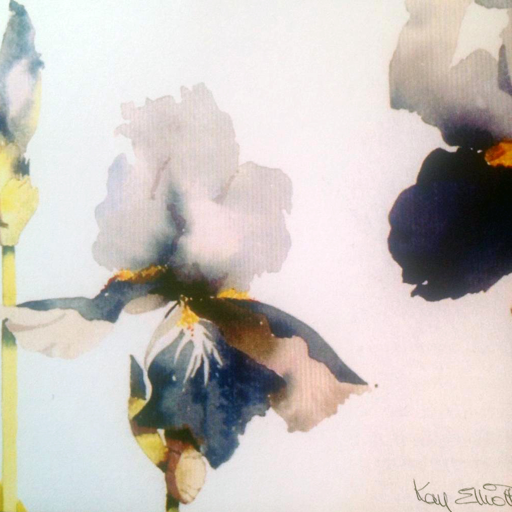 NEW* Blue Iris