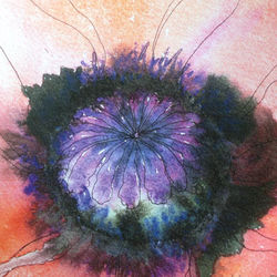 Poppy Centre