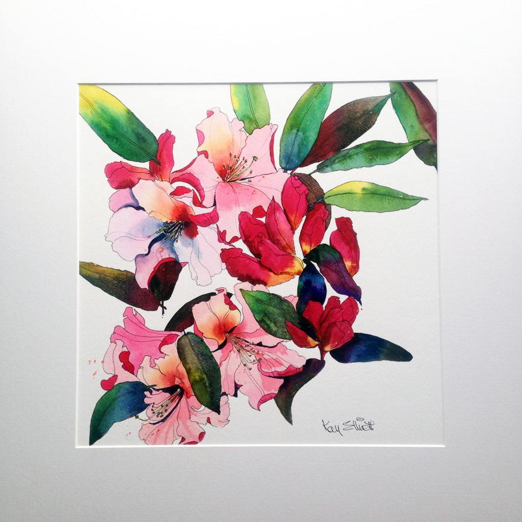 NEW* Rhododendron