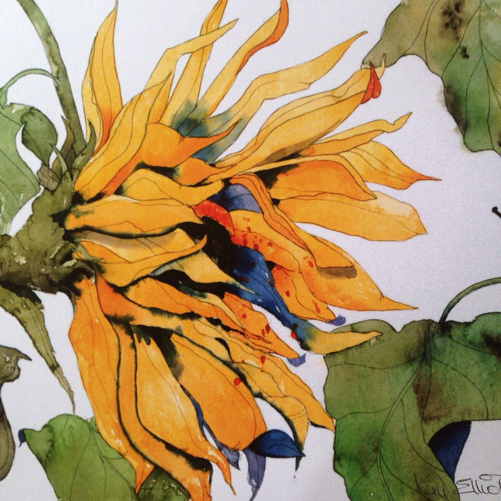 NEW* Sunflower