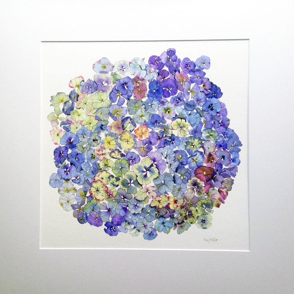 NEW* Blue hydrangea