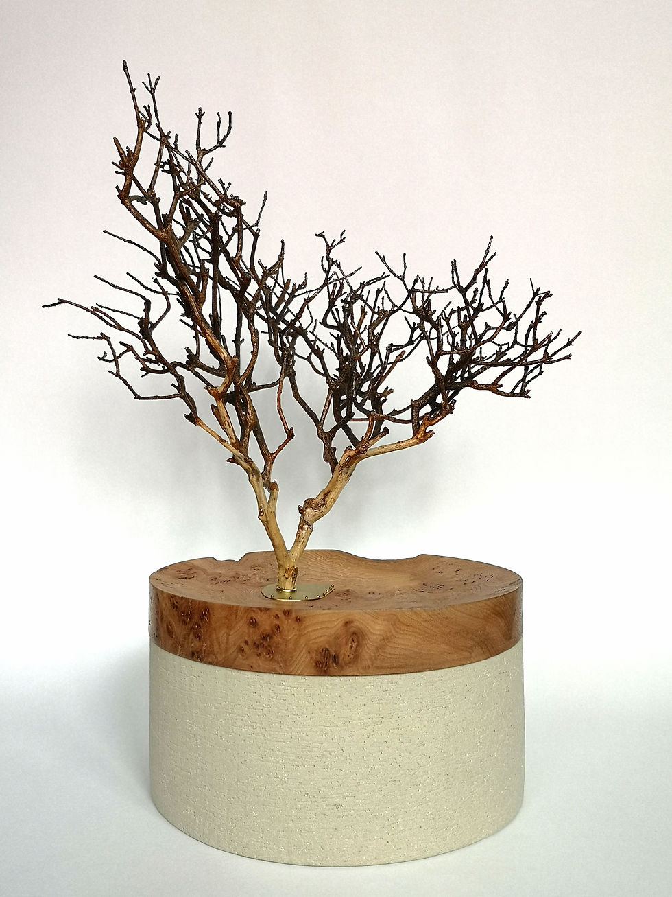 BUISSON