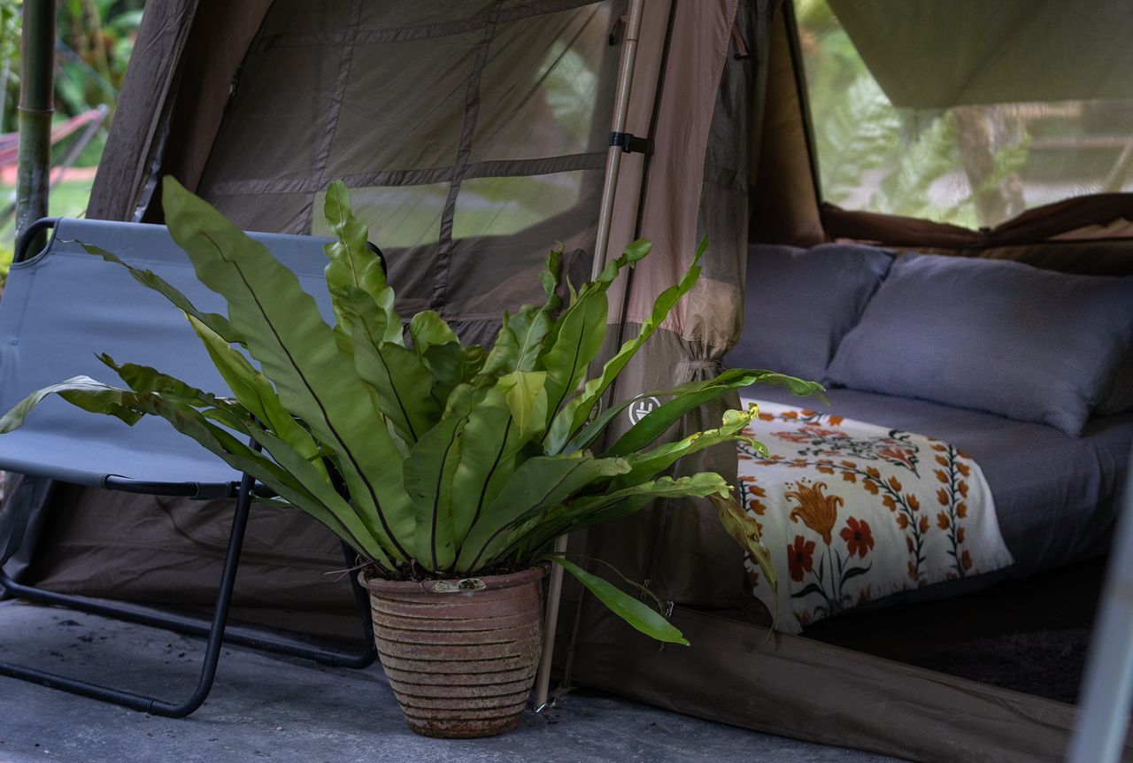 Hammocks By The River photo 5