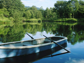 Support The Rural Forests Market Act