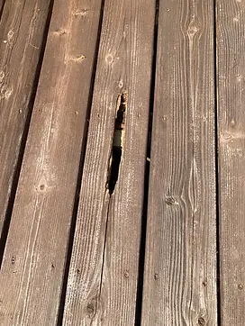 Rotted Wood Deck.webp