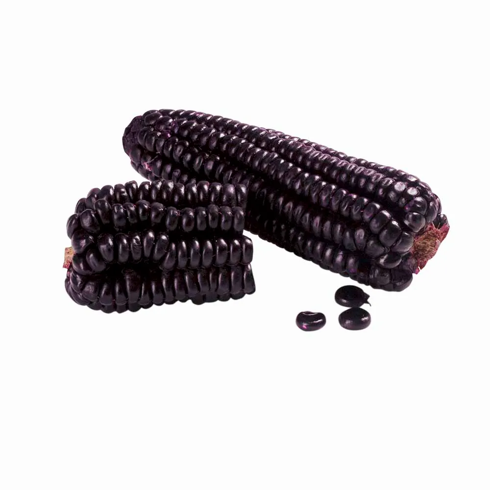 Maíz Morado Malla 1Kg