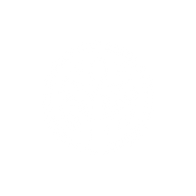 HOLL_face-STAMP.png