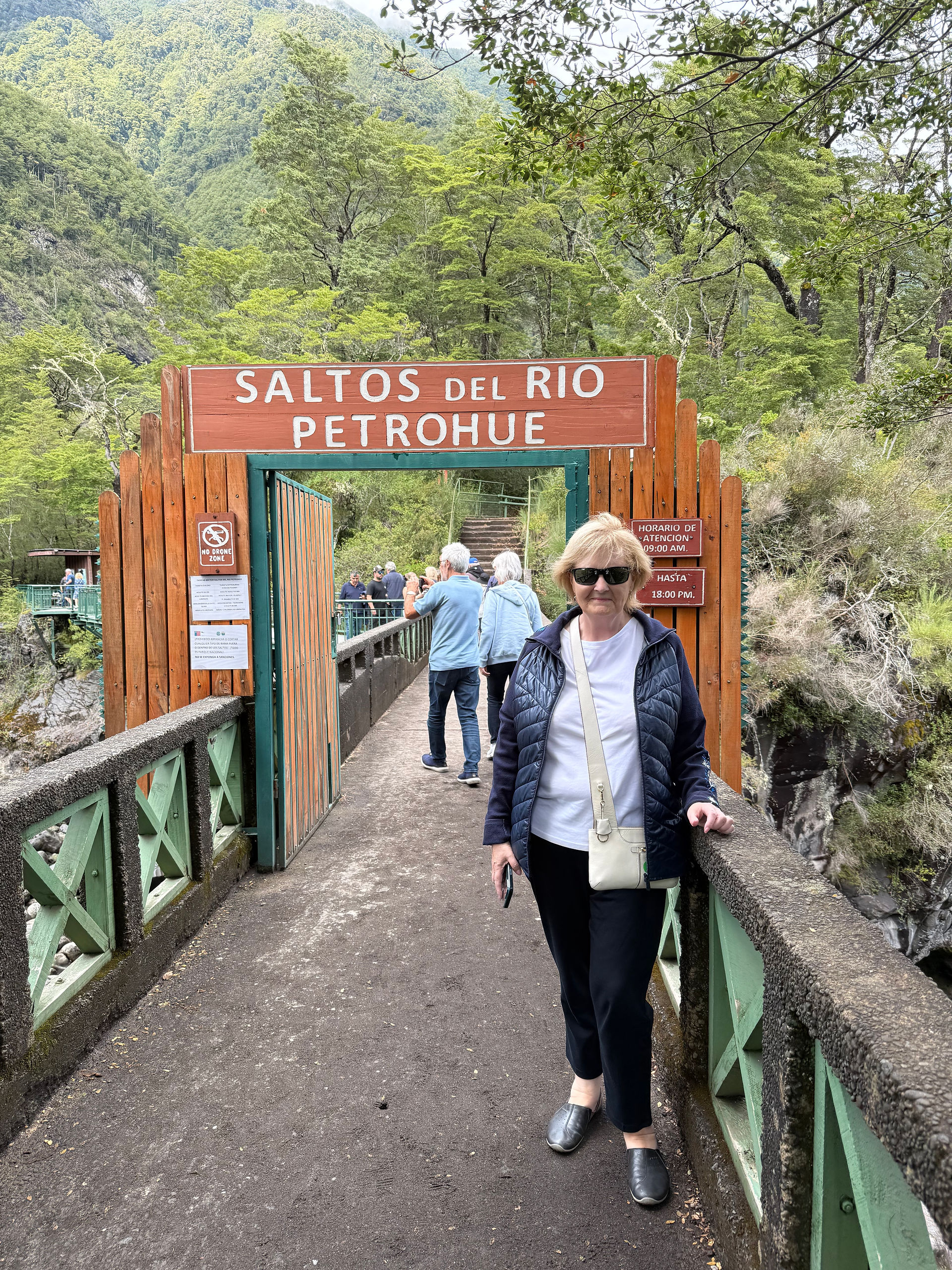 Petrohue Falls 