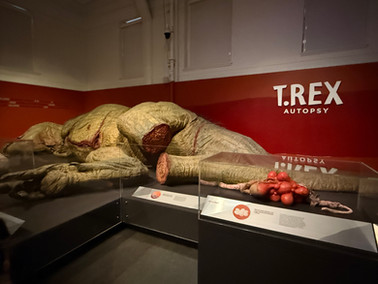 T-Rex Autopsy