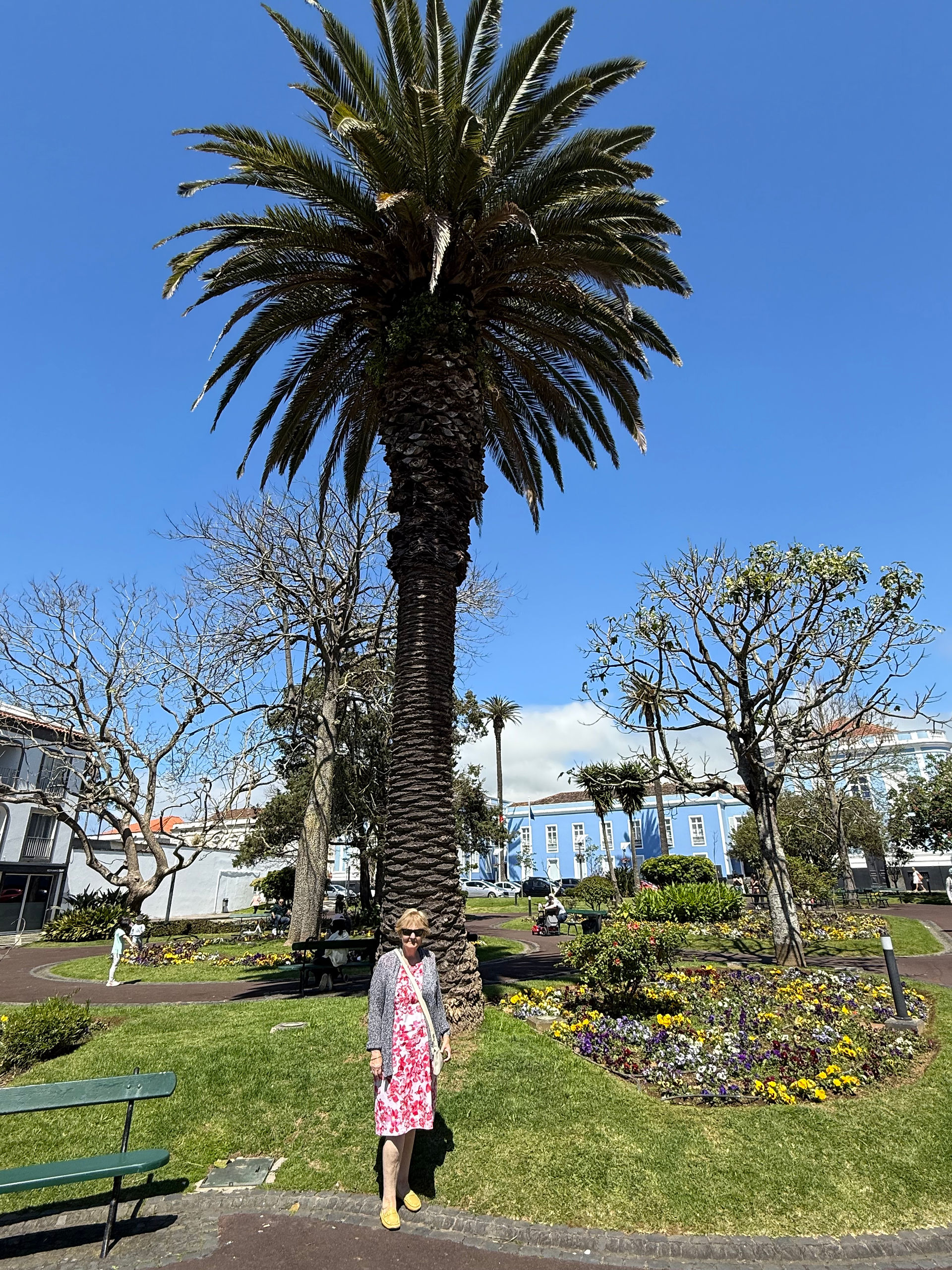 A nice little park