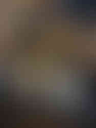 Inside Queen Victoria Building