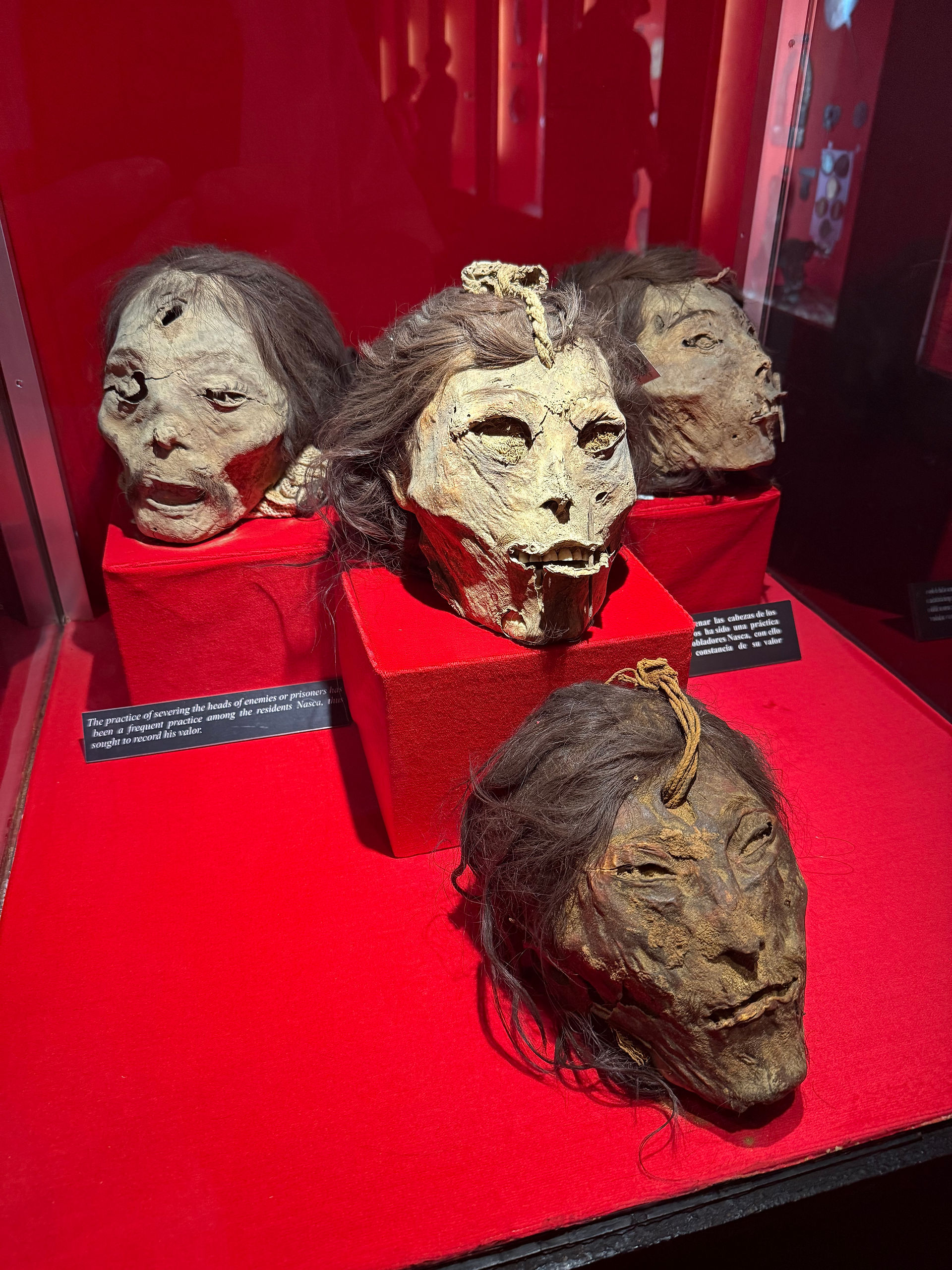Shrunken heads