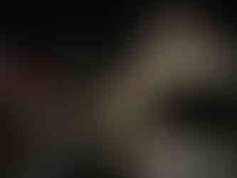 Queen Anne at Circular Quay with Sydney Harbor Bridge