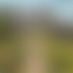 Thursday, April 27th, 2023 London - Cotswolds, UK