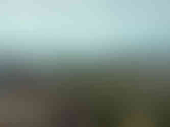 View from Sydney Tower