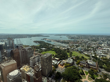 View from Sydney Tower