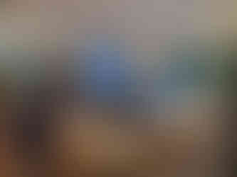 Honolulu Coffee Company