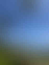 View from House Without a Key