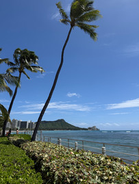 View from House Without a Key