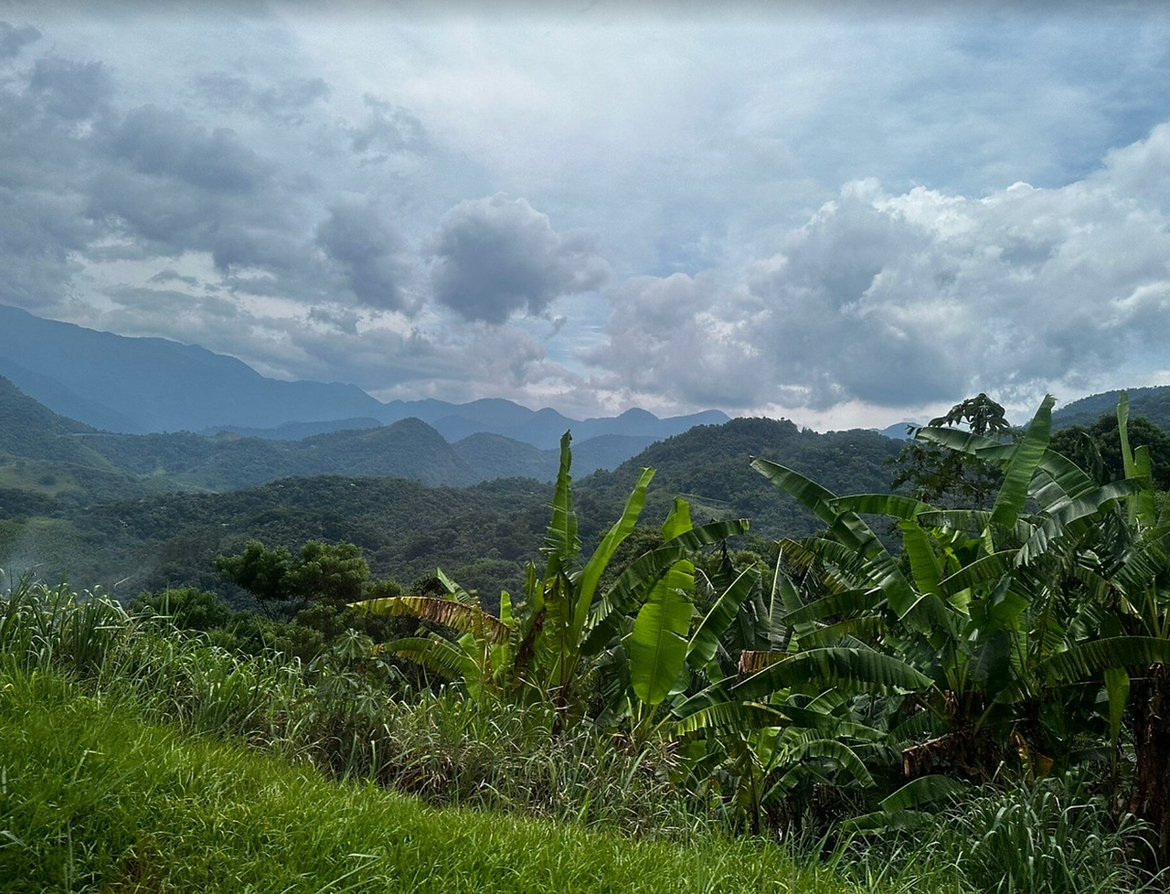 Driving to Petropolis