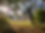 Sizewellhall2021_edited.png