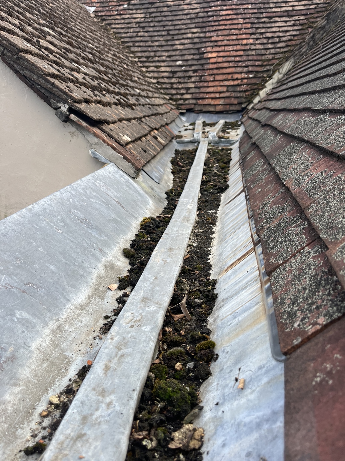 Roof gully before cleaning