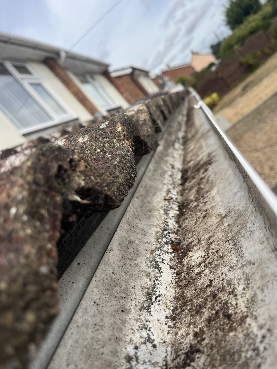 Inside gutter before cleaning