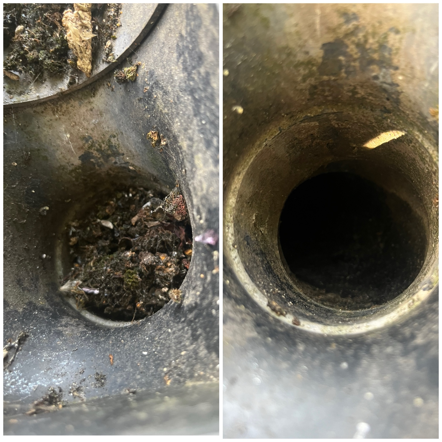 Outside gutter and downpipe cleaning result