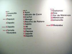 Ingenio exhibition installation map