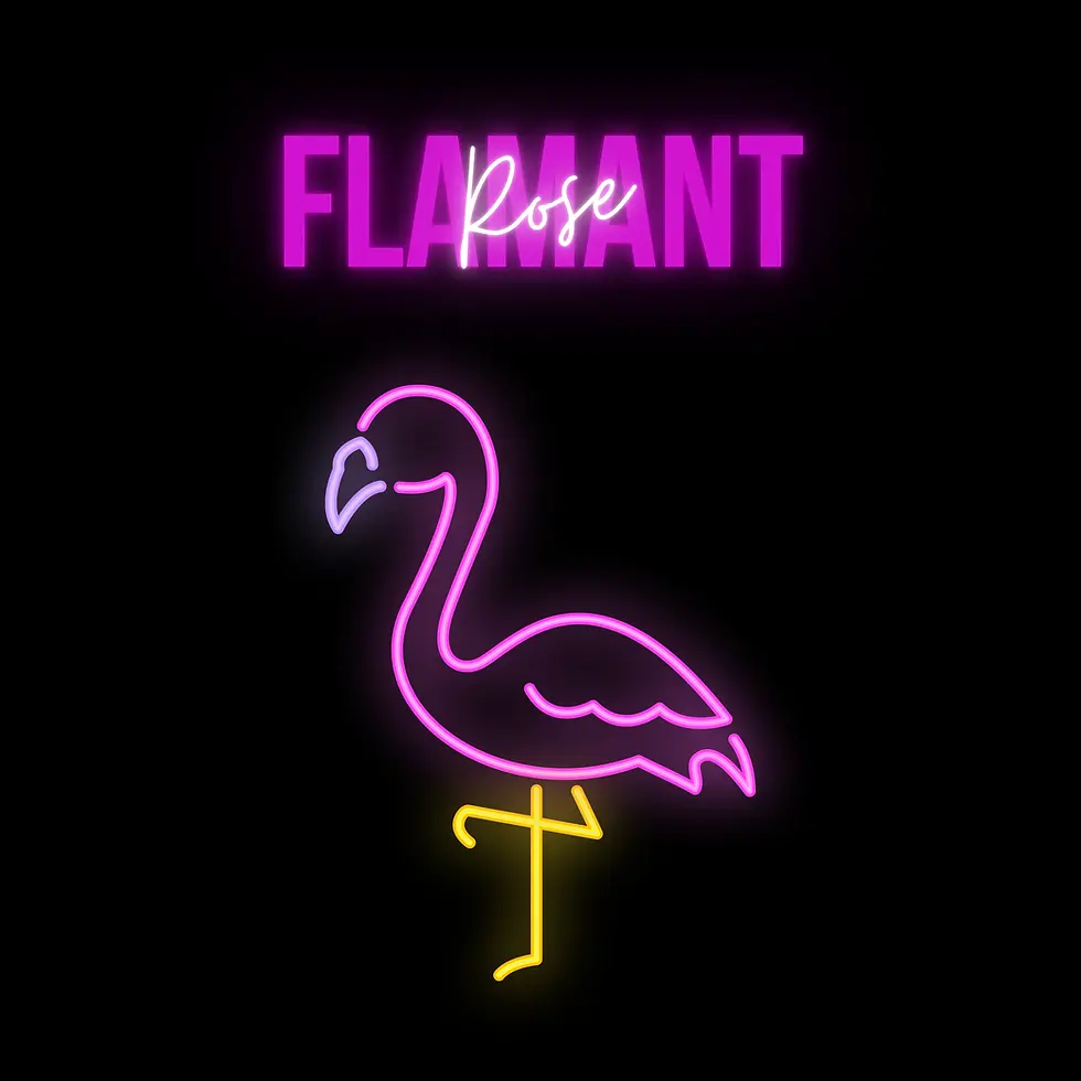 Flamant-Rose.png
