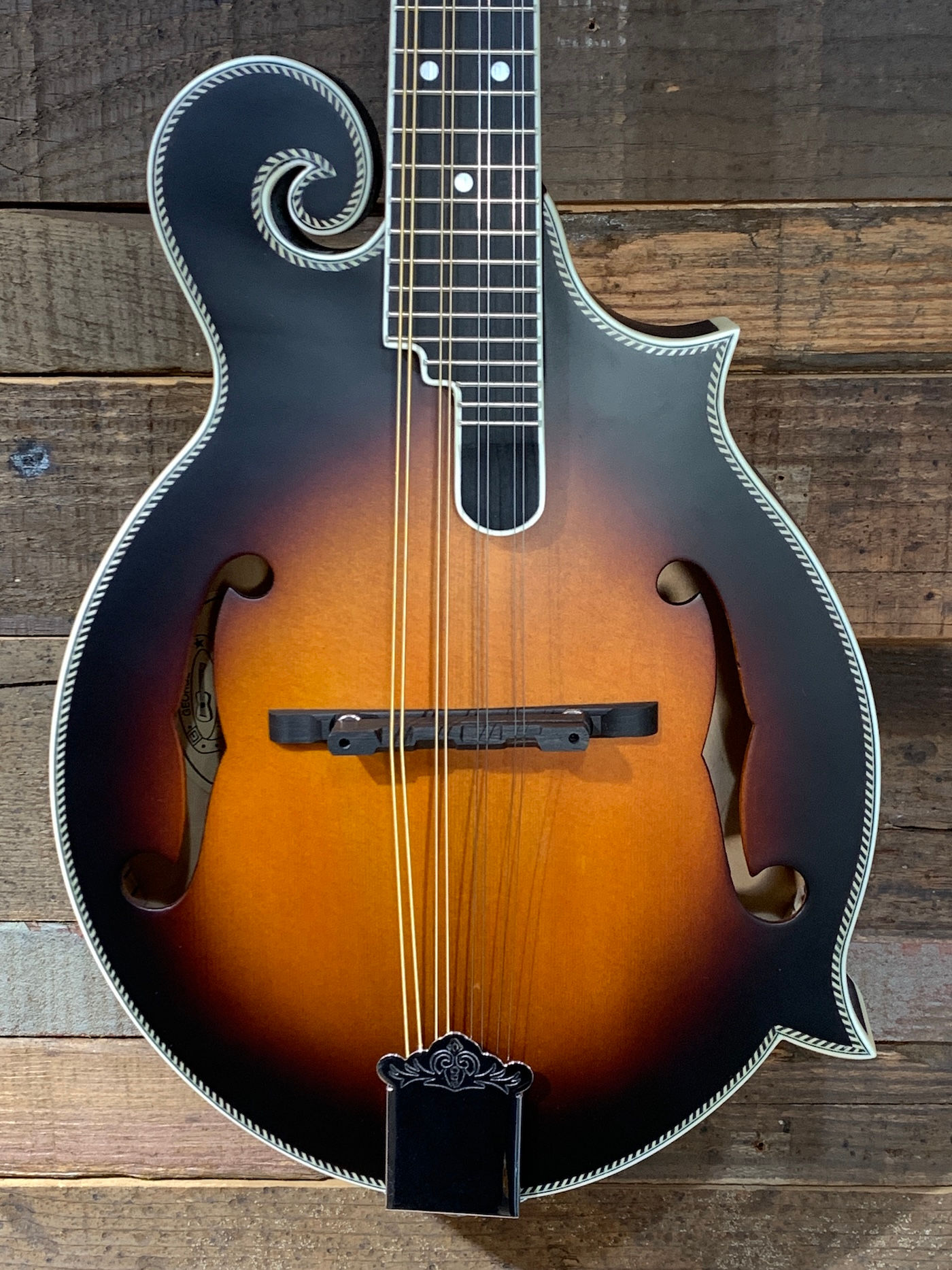Washburn M3SE