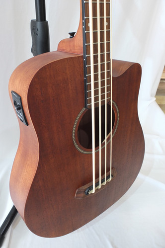 Gold Tone Micro Bass 25