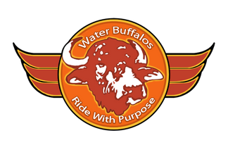 Water Buffalo's Ride with Purpose