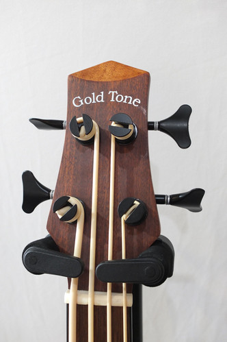 Gold Tone Micro Bass 25