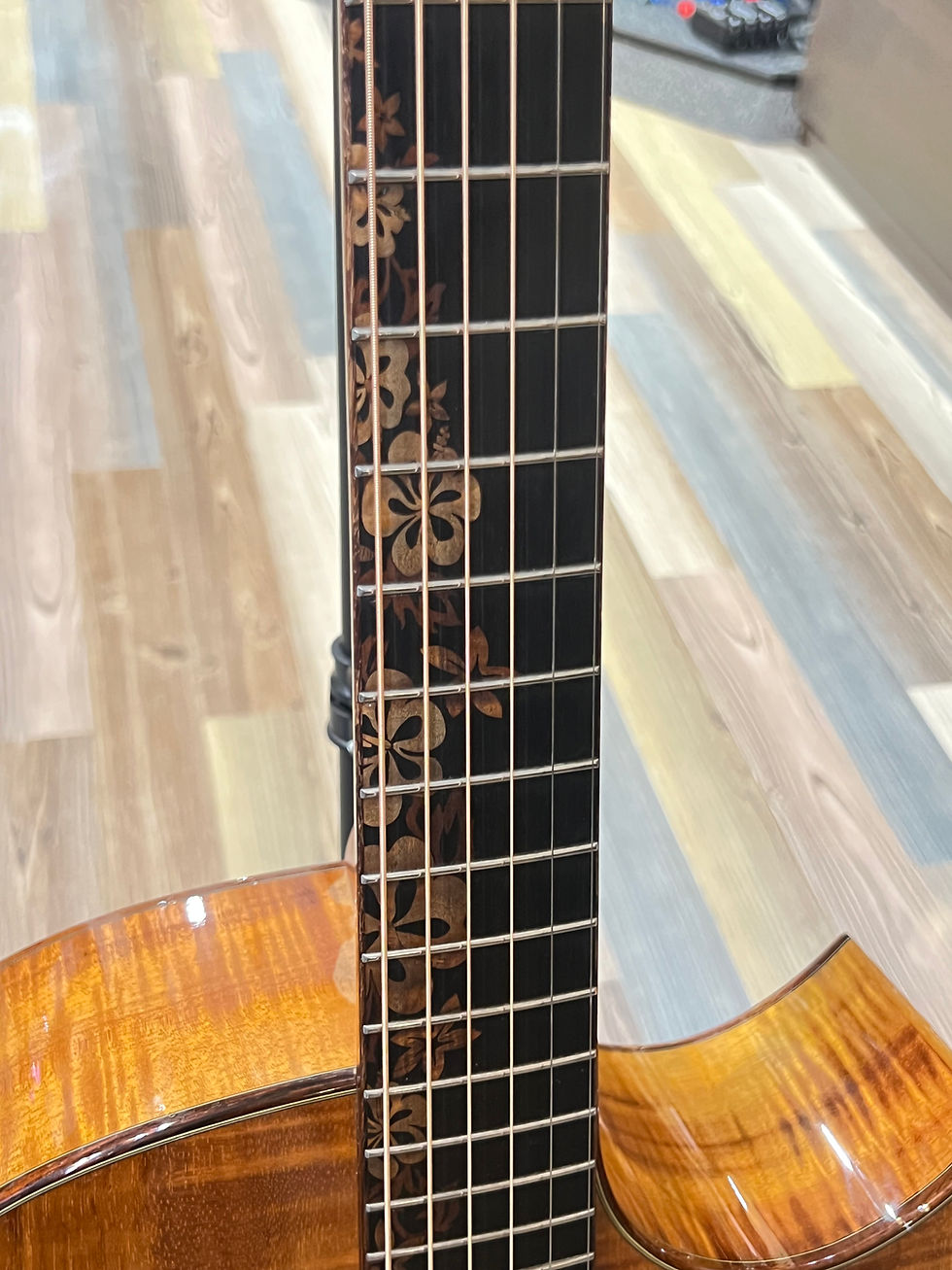 Thumbnail: Taylor KLS Kenny Loggins Signature