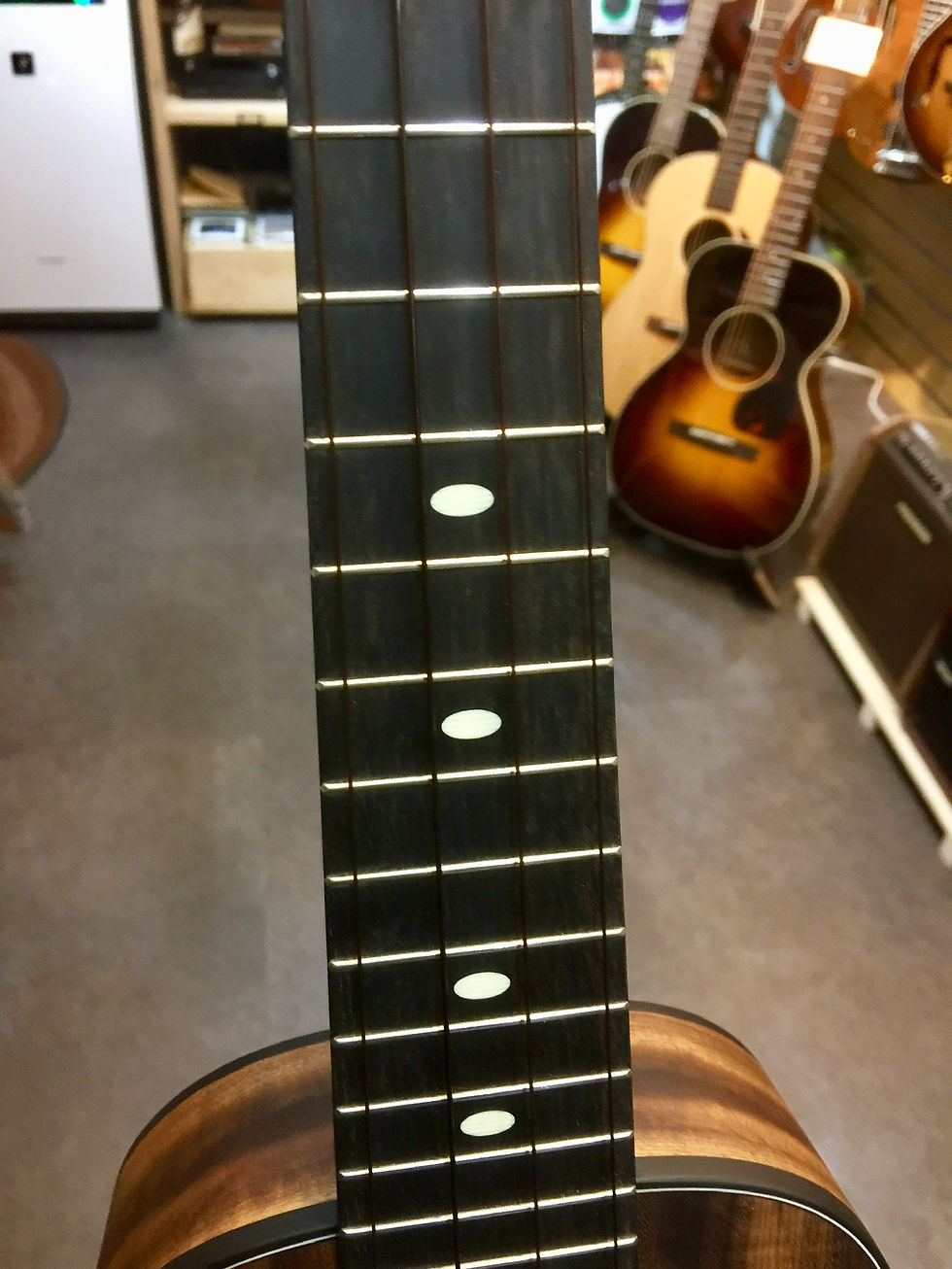サムネイル： KALA ELITE USA MYRTLE C