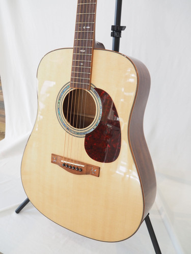 Farida D-52 NA | guitartrailer