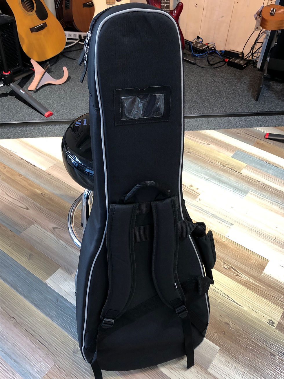 Farida OT-12VBS | guitartrailer