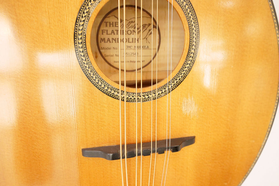 サムネイル： Flat Iron 3MC Mandola 1980s