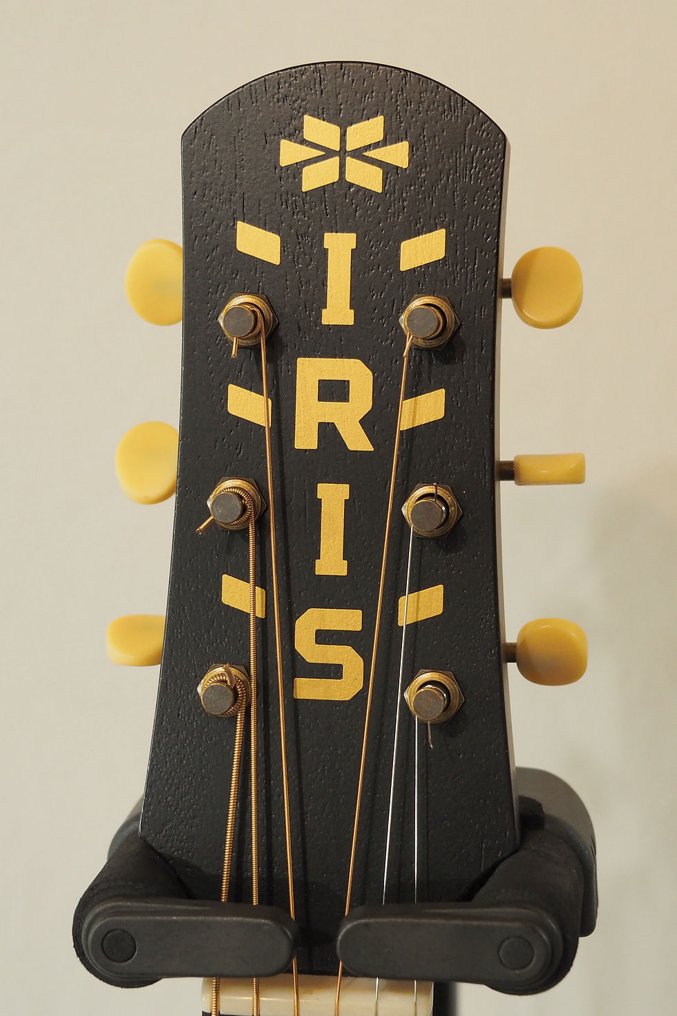 Thumbnail: IRIS DF Natural with K&K Pickup & AdirondackTop!