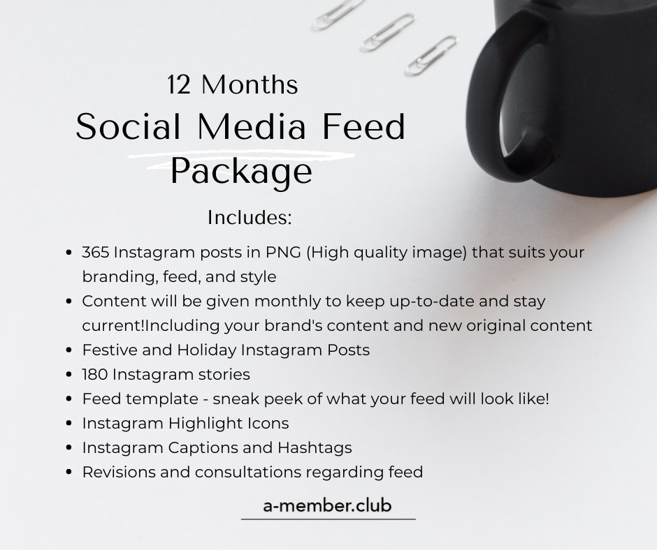Thumbnail: 12 Month Social Media Feed Package