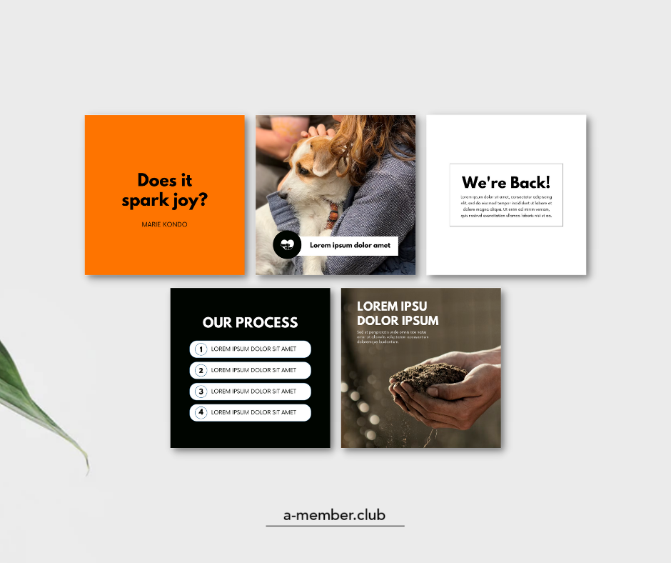 Thumbnail: Pest Control Social Media Templates