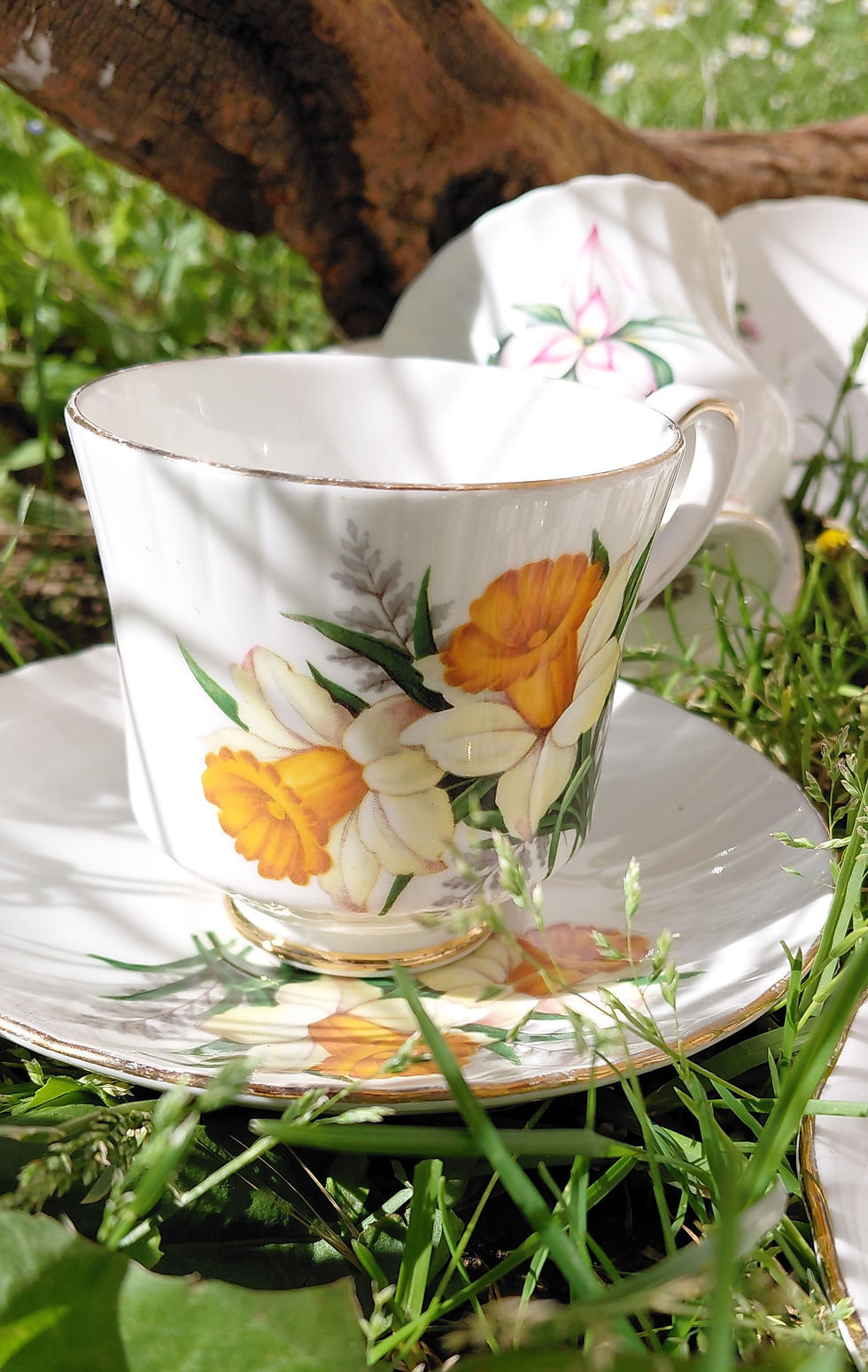 Miniatura: Un soffio di primavera sulla tua tavola: Set di tazze floreali