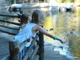 Standardized Testing Is Damaging Our Children’s Love for Learning