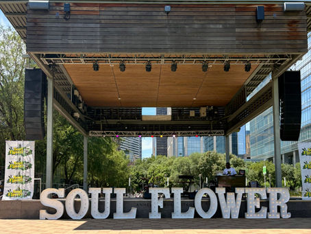 Walking into the Soul Flower Music Festival, the first thing I noticed was the absence of the overwhelming chaos I’ve come to associate with large music events.