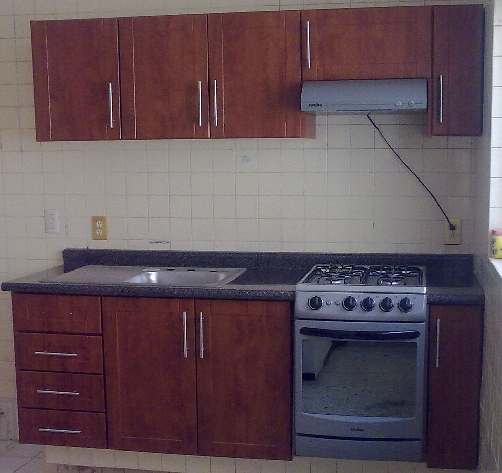 Cocina Integral Lineal Foil.